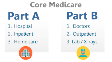 Part A and B with Traditional Medicare